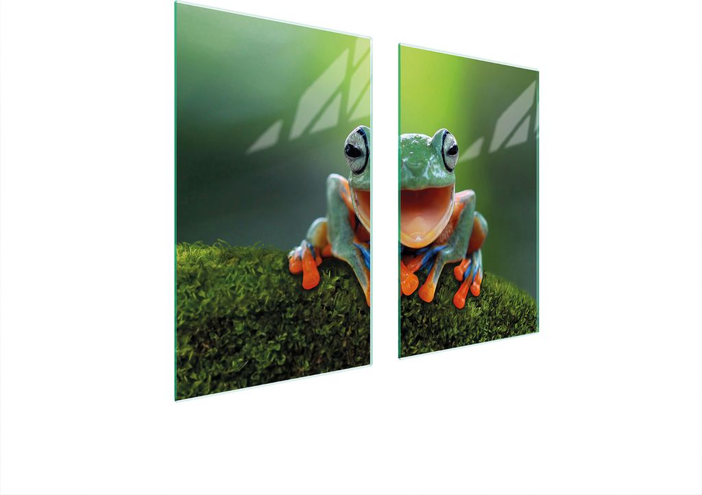 Glasschutzplatte Für Herd 75X52 Frog