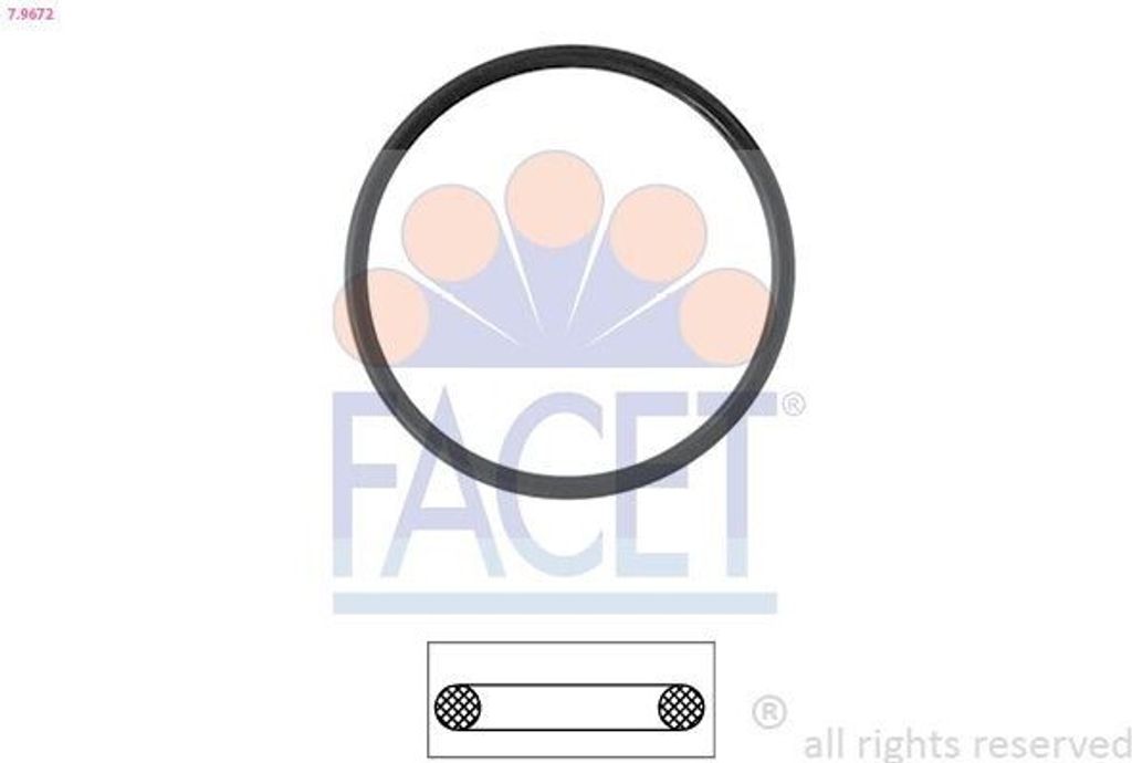 FACET Dichtung Thermostat 7.9672 für VW GOLF VI (5K1)
