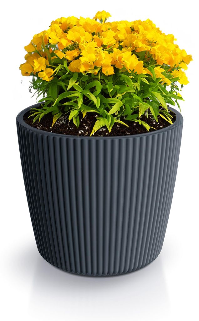 Prosperplast Pflanztopf Buckingham - anthrazit - D19 cm Produktbild 