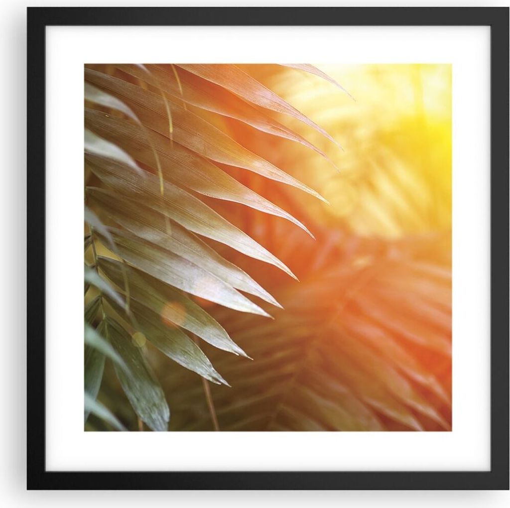 Gerahmtes Poster - Schwarzer Rahmen - Exotisch Blätter Dämmerung - 40x40 cm - Wand Bild - Wanddeko - Wandbilder - Kunstposter - Wandposter - Bild...