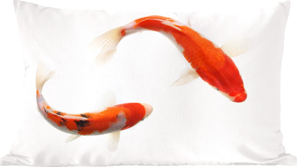 MuchoWow Zierkissen Sofakissen Wohnzimmer Dekokissen 50x30 cm Koi-Karpfen vor einem weißen Hintergrund - Wohnzimmerdekoration - Polster mit Photo