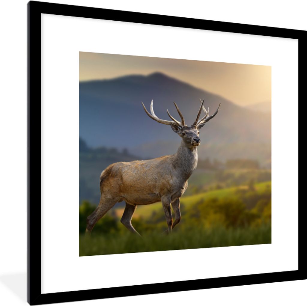 MuchoWow Gerahmtes Poster Hirsche - Berg - Gras - Sonnenuntergang - Tiere - Natur 40x40 cm - Poster mit Schwarzem Bilderrahmen Wandposter Rahmen ...