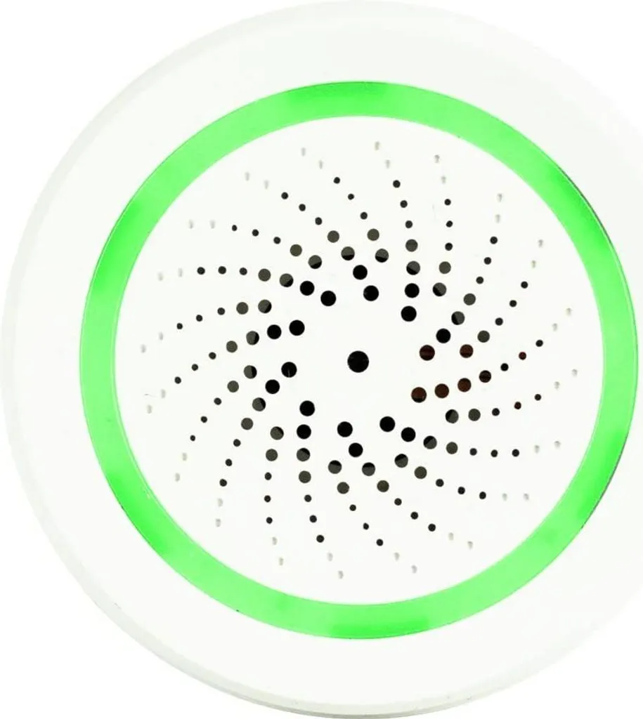 Dissuader les cambriolages : Sirène BURGsmart PROTECT NOISE 2162 39807