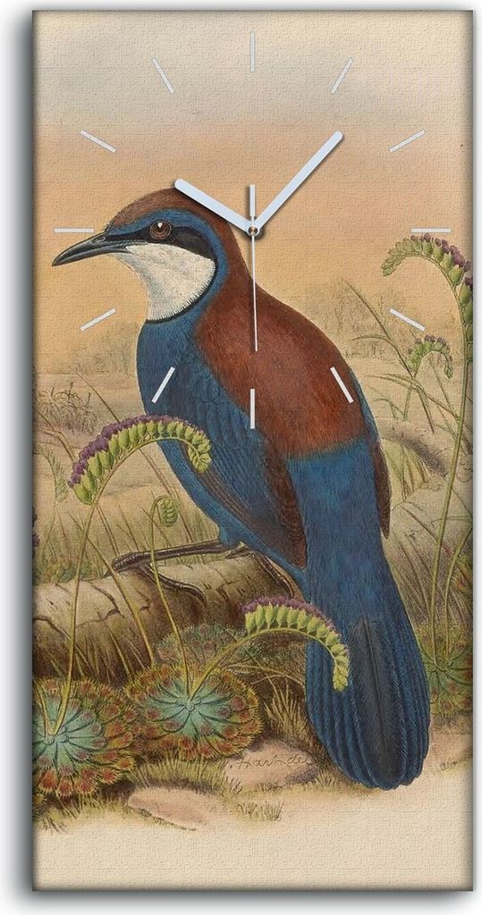 Leinwand Uhr Küche Wohnzimmer Bild 30x60 Vögel Wild Tiere Produktbild 