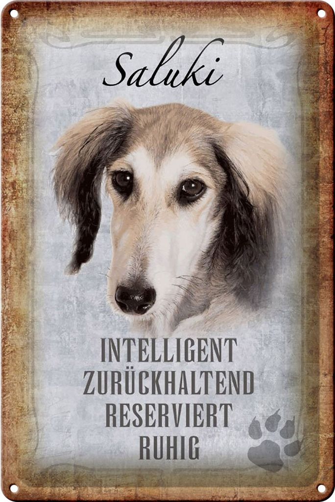 Blechschild Spruch 20x30cm Saluki Hund ruhig Schild