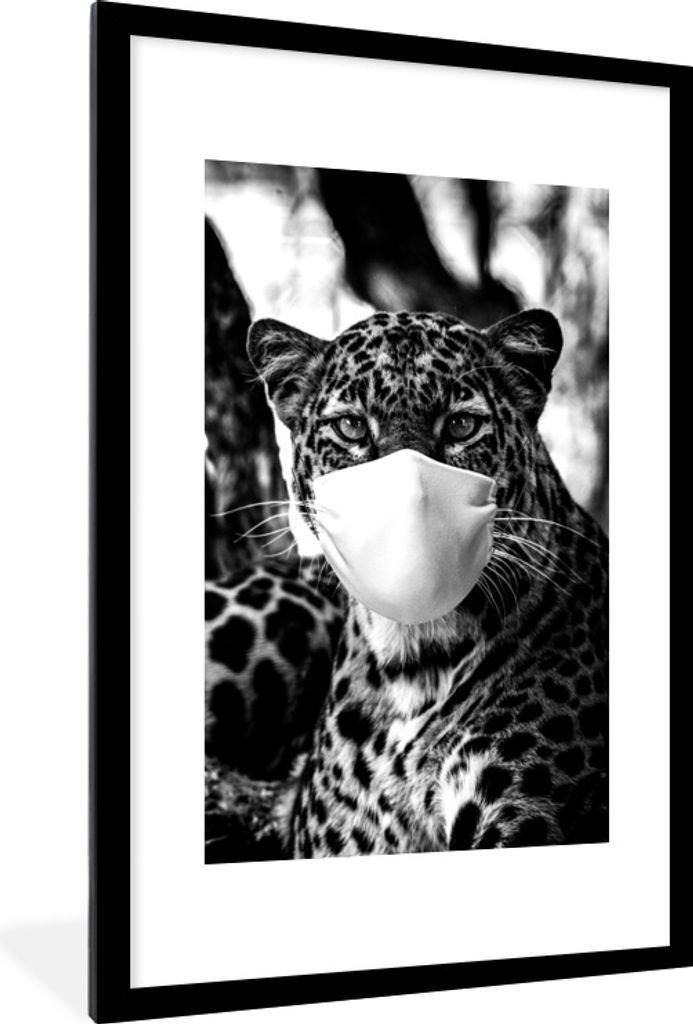 MuchoWow Gerahmtes Poster Gepard mit einem Mund Kappe auf Schwanz in die Kamera - schwarz und weiß 60x90 cm - Poster mit Schwarzem Bilderrahmen ...