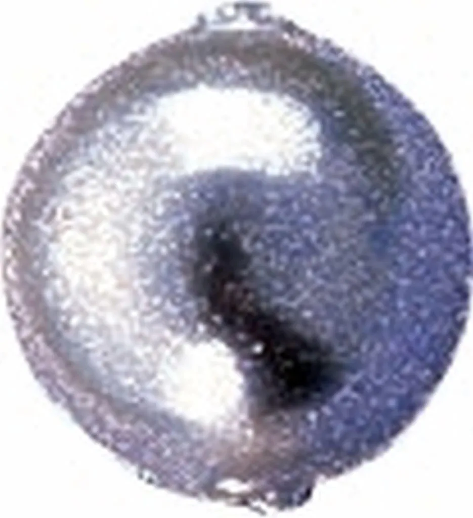 Perles de cire pour customisation textile et scrapbooking blanc