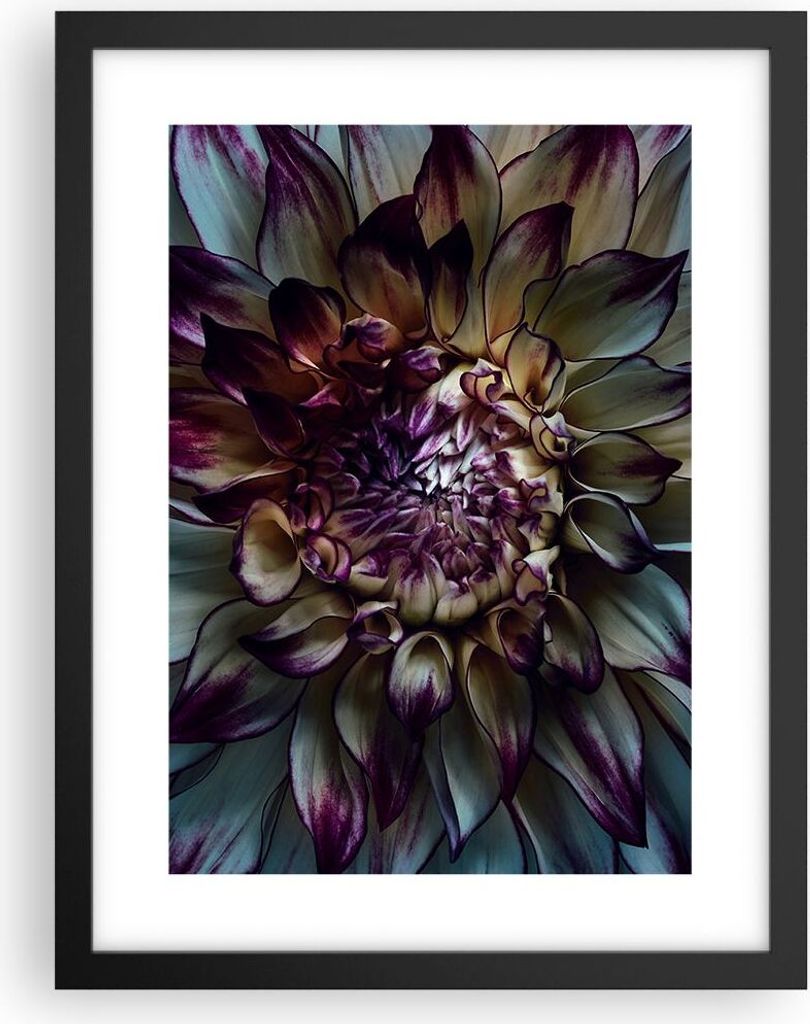 Gerahmtes Poster - Schwarzer Rahmen - Blätter Agave Blume - 30x40 cm - Wand Bild - Wanddeko - Wandbilder - Kunstposter - Wandposter - Bilderrahmen...