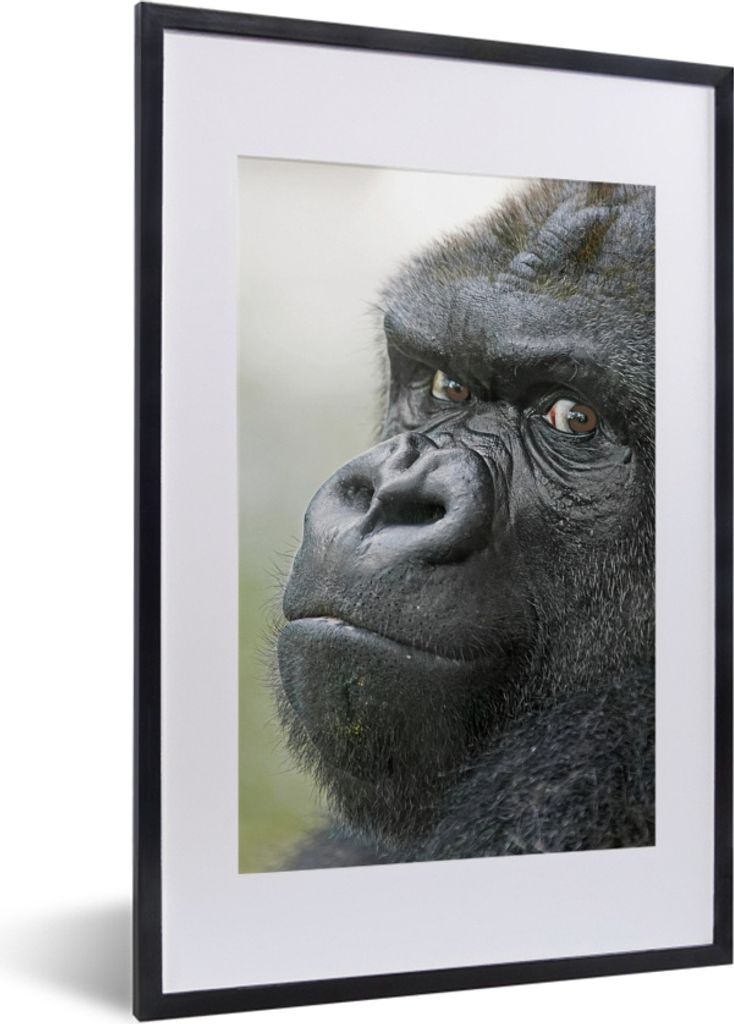MuchoWow MuchoWow Gerahmtes Poster Ein erstaunlicher Gorilla 40x60 cm - Poster mit zchwarzem Bilderrahmen - Poster in Rahmen