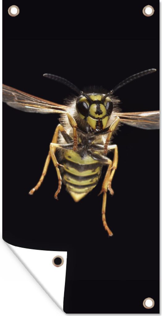 MuchoWow 40x80 cm Outdoor-Poster Gartendeko Sichtschutz Garten Poster für den Garten Wespe - Insekten - Porträt