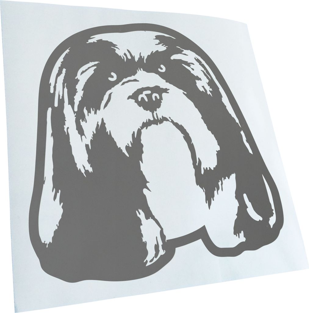 Kiwistar - Autoaufkleber - Lhasa apso Hund - Grau - 30x30cm - Aufkleber für Auto, Laptop, Fahrrad, LKW, Motorrad Mehrfarbig JDM Decal Racing