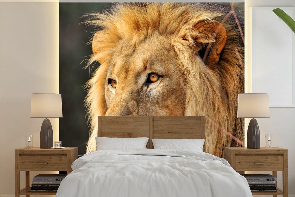 MuchoWow Fototapete für Wohnzimmer oder Schlafzimmer Wandtapete Vinyl Motivtapete Leo - Profil - Jagen - 300x300 cm - Wanddekoration