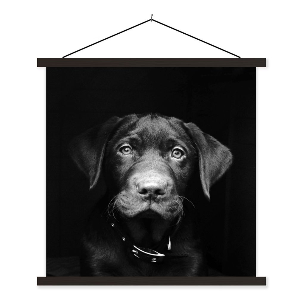 MuchoWow Textilposter Hund - Leicht - Schwarz 40x40 cm mit schwarzem Rahmen - Fotos
