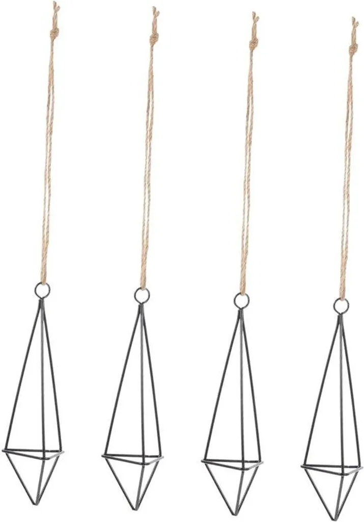 Support de décoration pour Tillandsia, idéal pour bureau et étagère, x4
