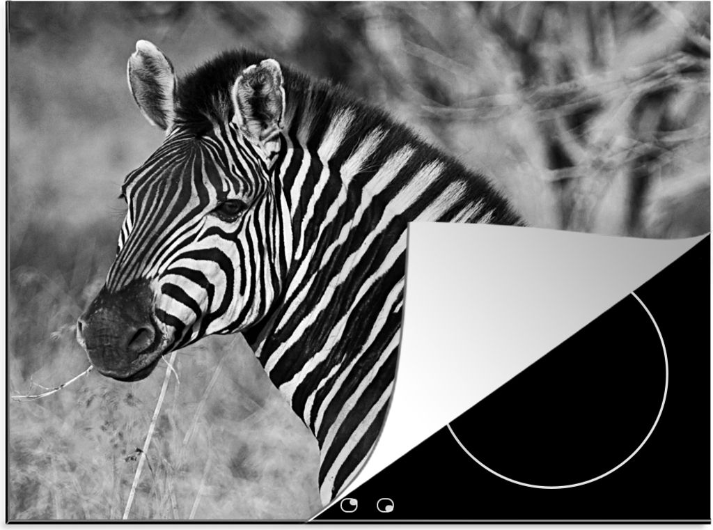 KitchenYeah Herdabdeckplatte Zebra-Porträt , 57x51cm, Küche Deko, Glaskeramikkochfeld Herdabdeckung, Abdeckplatte fùr Kochfeld