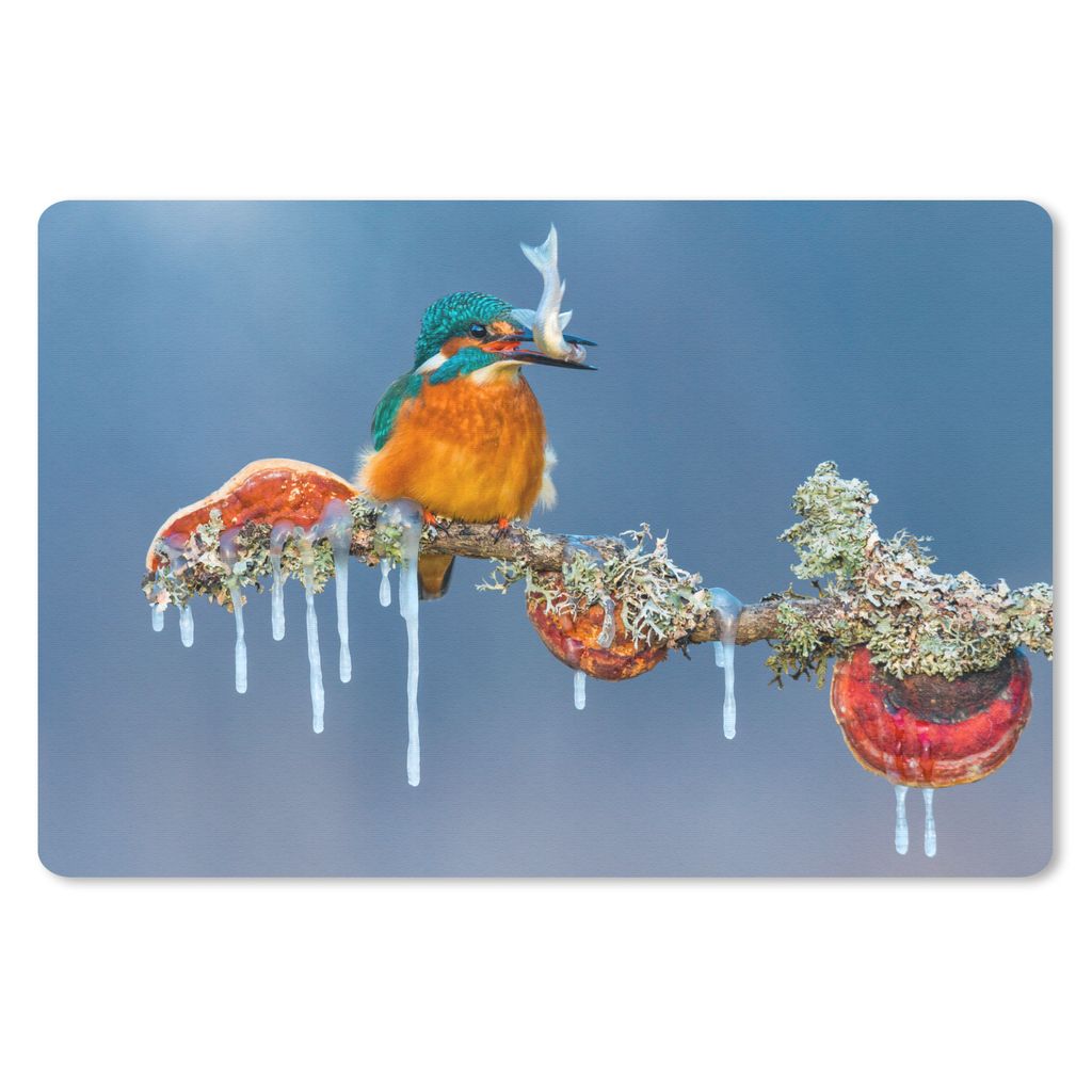MuchoWow Schreibtischunterlage Eisvogel - Zweig - Fisch 60x40 cm - XXL Mauspad - Großes Mauspad