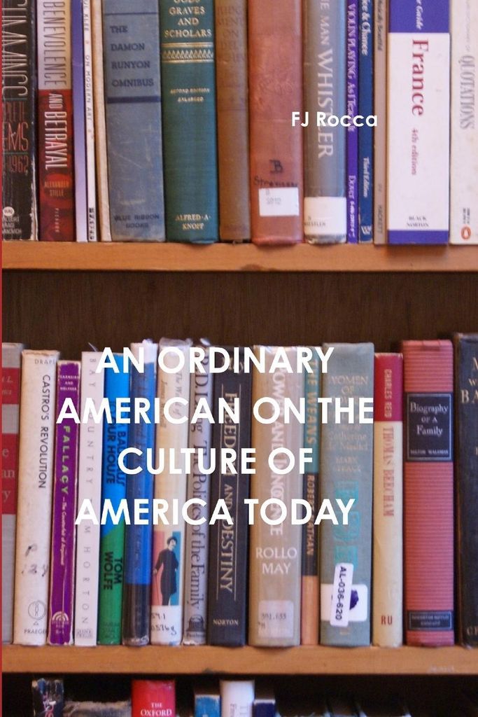 An Ordinary American on the Culture of Today's America
