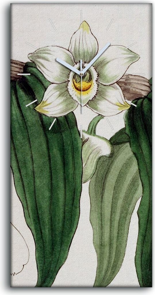 Leinwand Uhr Küche Wohnzimmer Bild 30x60 Zeichnung Blüten Zweig Orchidee - weiße Hände