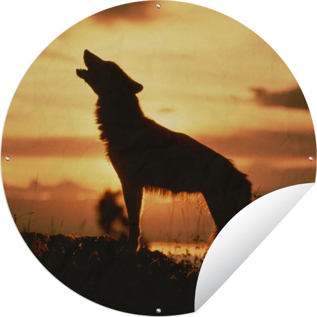 MuchoWow Gartenposter Outdoor-Poster Rund Wolf - Sonne - Scherenschnitt Ø 90 cm Gartendeko Rundes Poster draußen