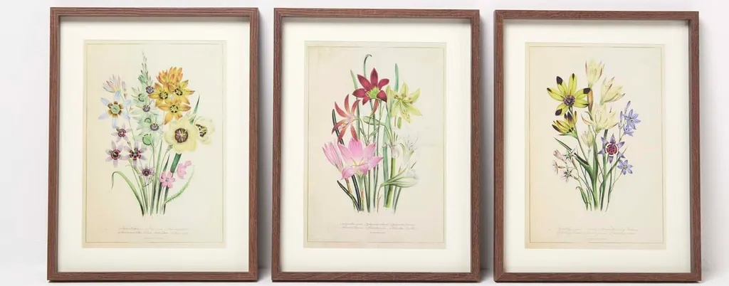 HOMESCAPES Lot de 3 Tableaux Encadrés Fleurs Sauvages 30x40cm - Vertical