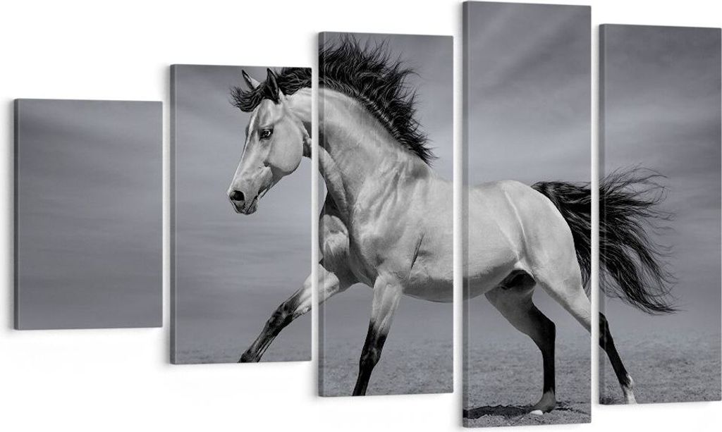 Bild auf Leinwand - Leinwandbild - Pferd Tier Natur - 100x60cm - Wand Bild - Wanddeko - Wandbilder - Leinwanddruck - Bilder - Kunstdruck - Wanddeko...