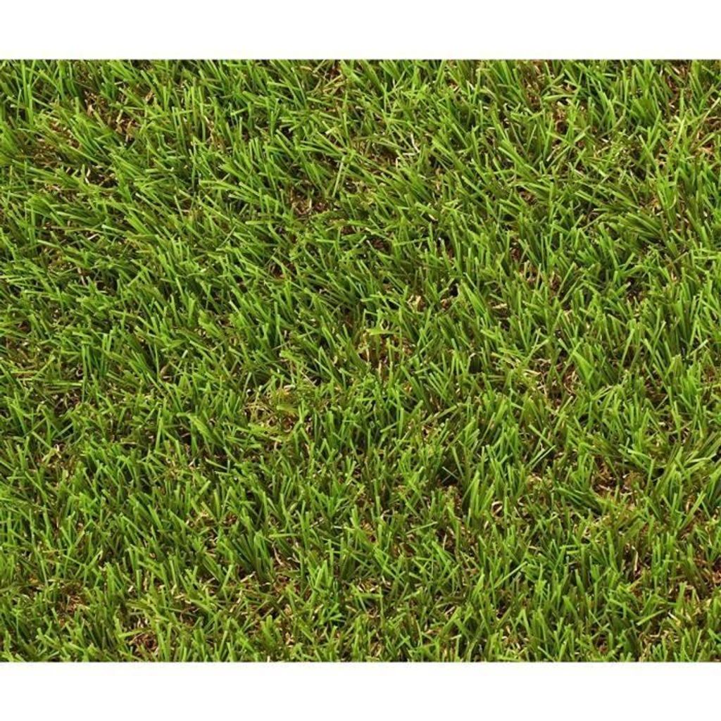 Gras - EXELGREEN - 124414 - Natura 2D - 38 mm / 1 x 5 m