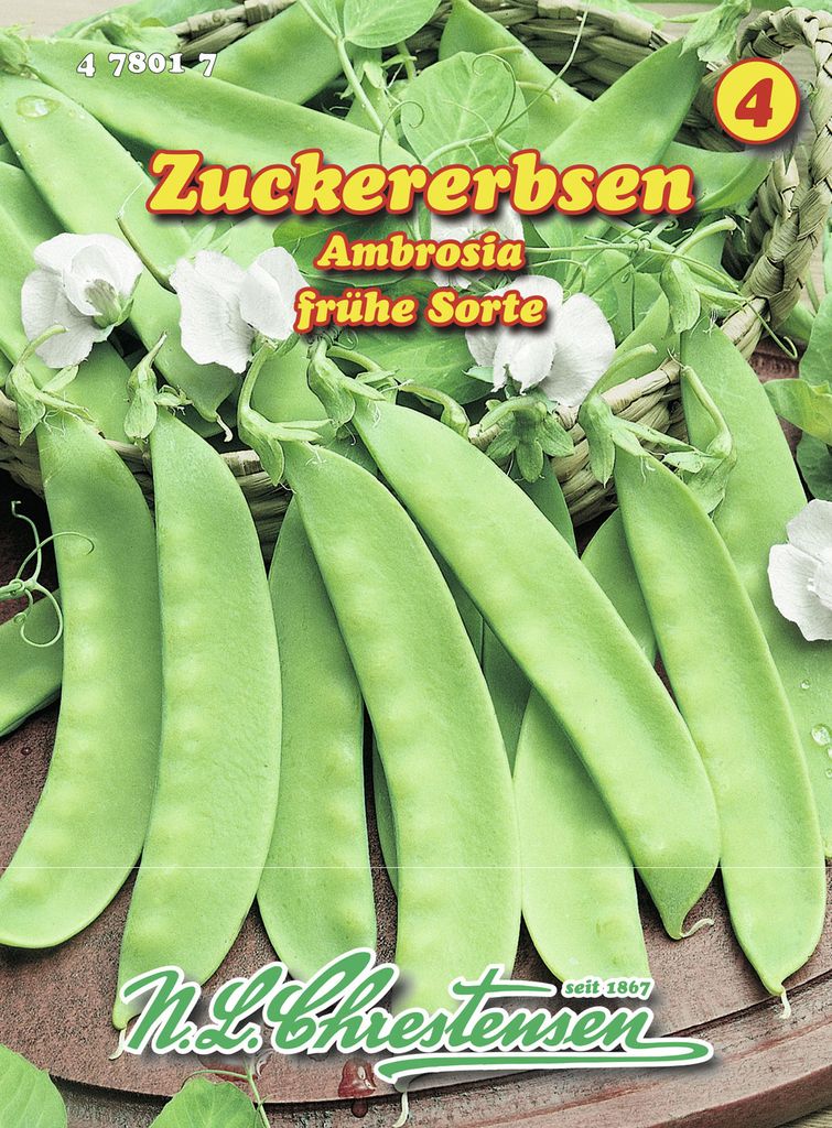 Zuckererbse Ambrosia | Zuckererbsensamen von N.L. Produktbild 