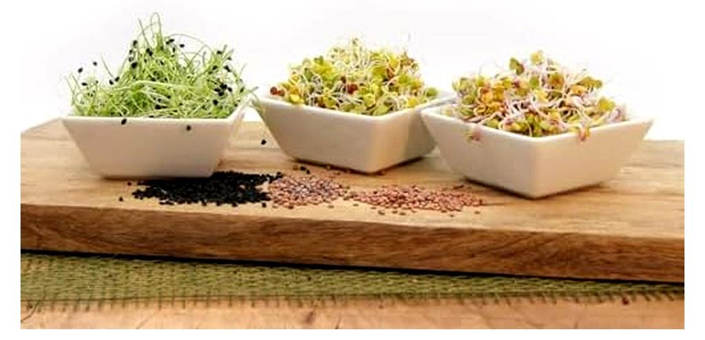 FLORTUS BIO Sprossen Set SCHARF mit 6 Sorten Keimsaat | Daikon-Rettich, Radieschen, Senf | Sprossen & Microgreens Starter Set