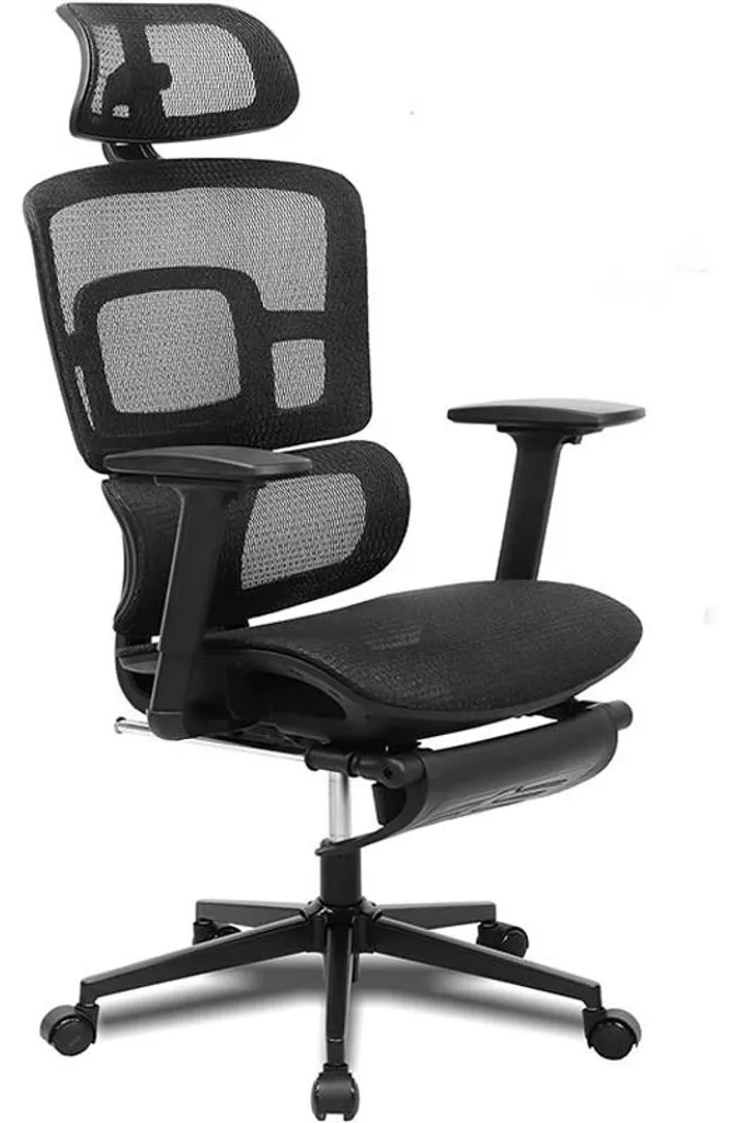 Chaise de bureau ergonomique Rieior Chair Elite S2 - Accoudoirs 4D Noire