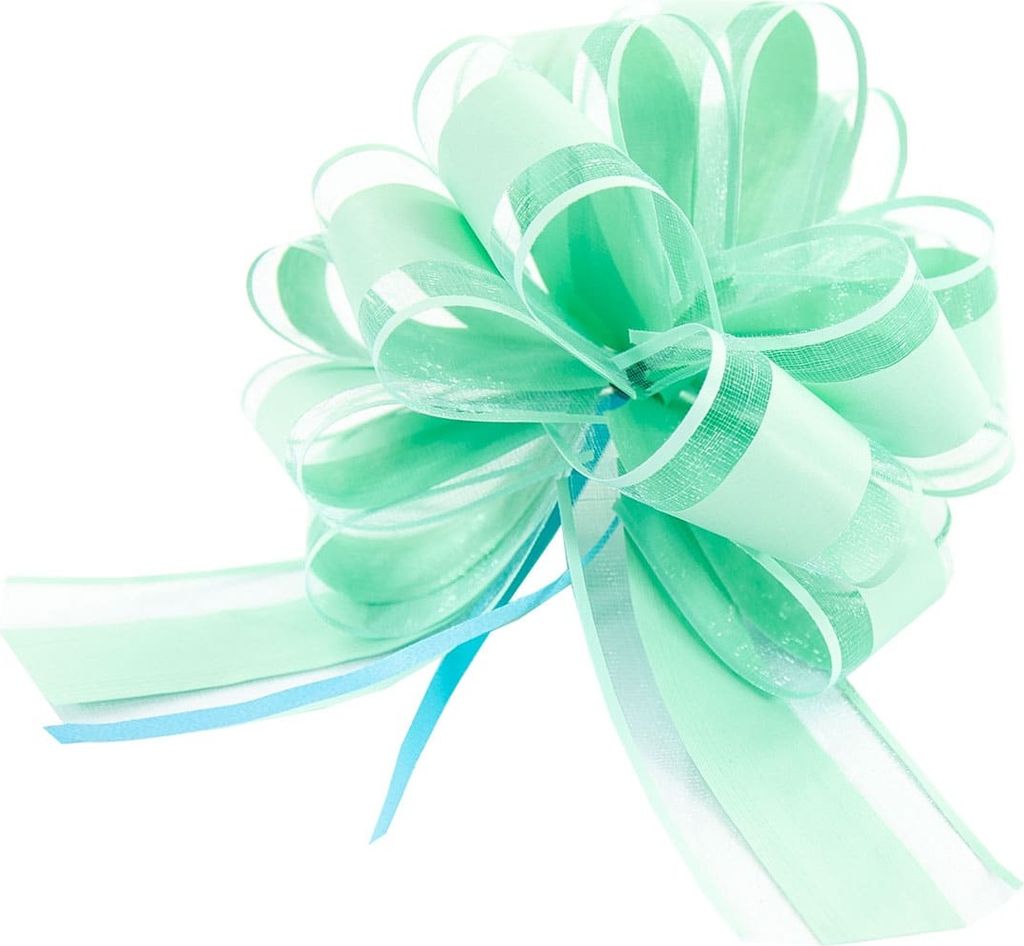 Oblique Unique Geschenkschleife Deko Schleife für Geschenke Produktbild 