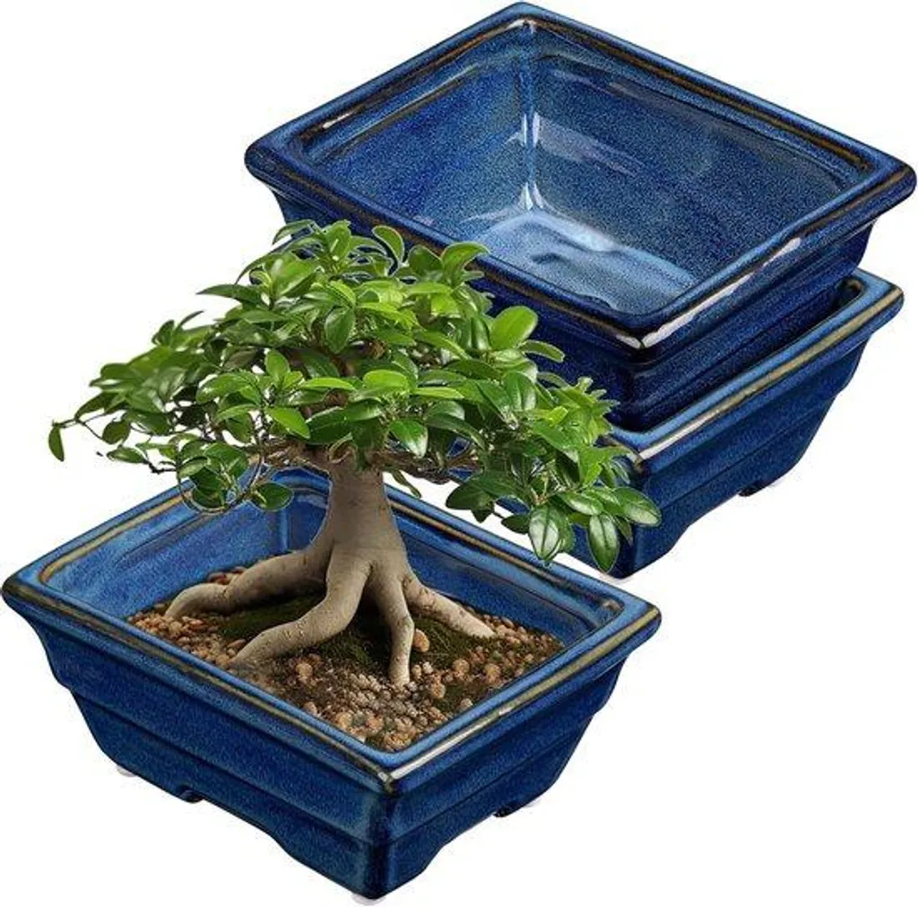 Contenant bonsaï 16 cm pour rempotage - Pot peu profond spécial racines