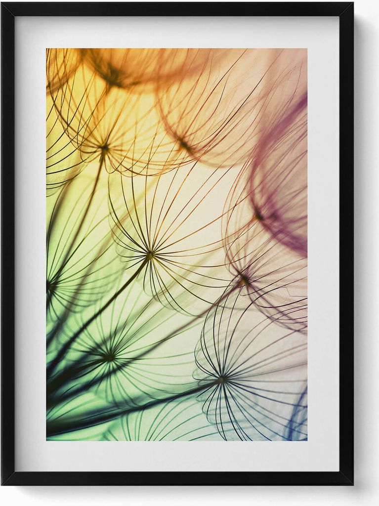Zarte Pollen eines Löwenzahns– Wandbild mit Rahmen – Gerahmtes Bild – Wanddekoration – 50x70 cm – Schwarz Rahmen