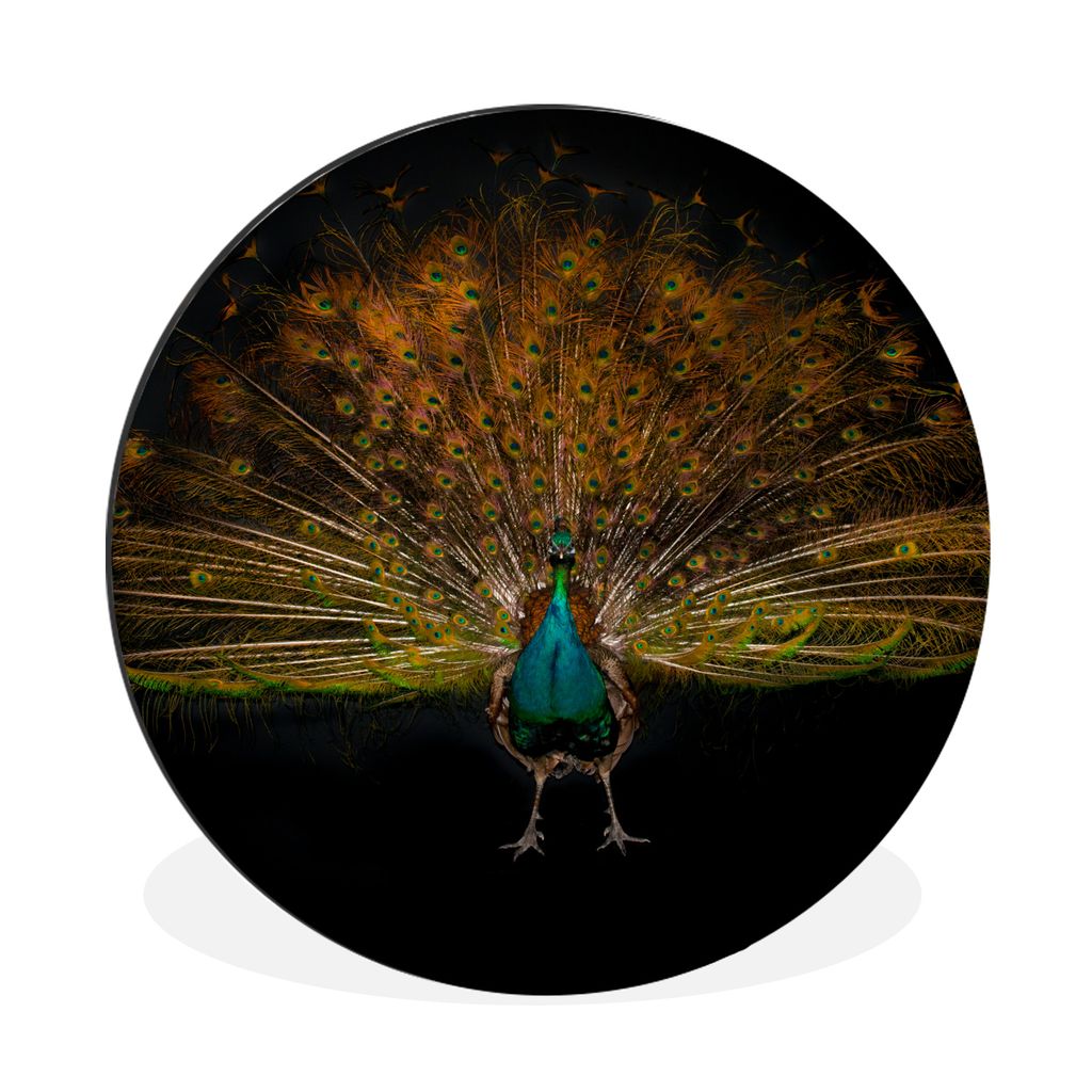 MuchoWow Aluminium Wandkreis Pfau - Federn - Nacht Ø 90 cm Wanddeko Modern Wohnzimmer - Mauerkreis - Wandbilder - Runde Bild - Bild aus Aluminiu...