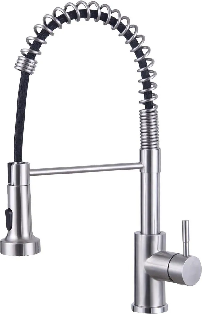 Rubinetto Cucina Acciaio Inox 304 Spazzolato Doccetta Professionale - 1