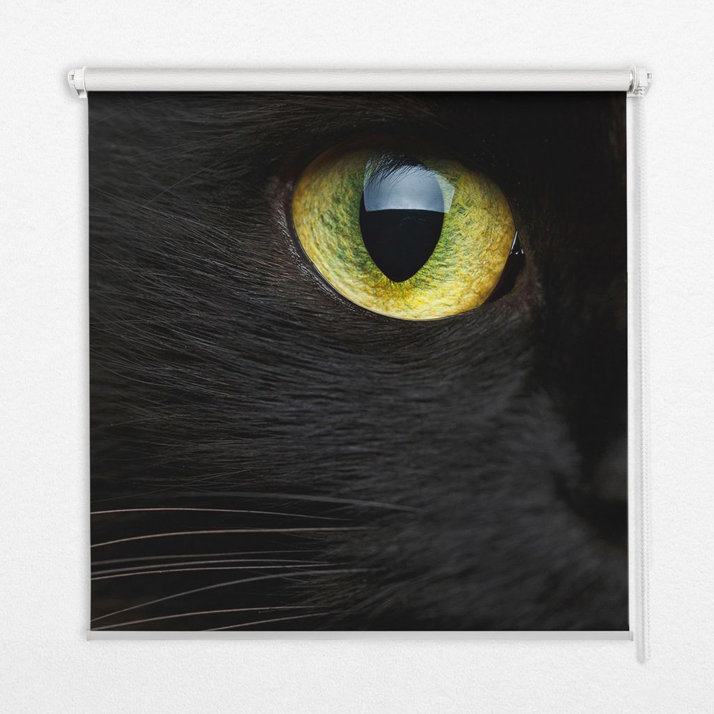 Seitenzug-Rollo Fensterrollo Jalousie - Thermo-Rollo Verdunkelungsrollo - 140x240 cm - Augen einer Katze