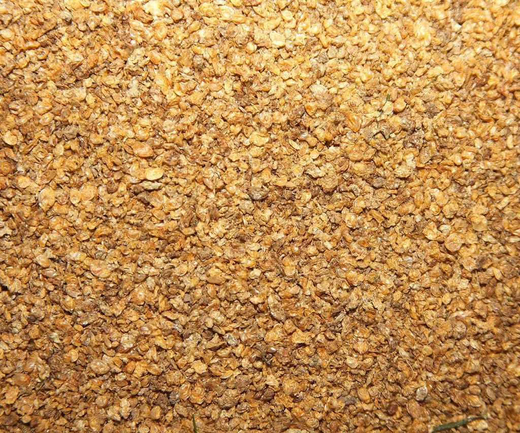 Daphnia - puces d'eau 4,5 litres nourriture pour Koi, poissons rouges