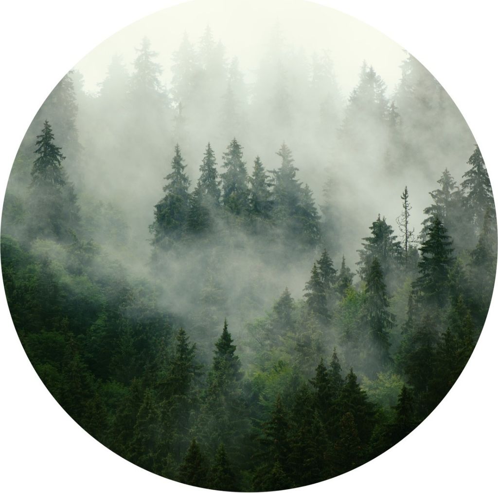 Sticker Kreis BÄUME Nebel Wald Pflanzen Natur Landschaft 3D Produktbild 