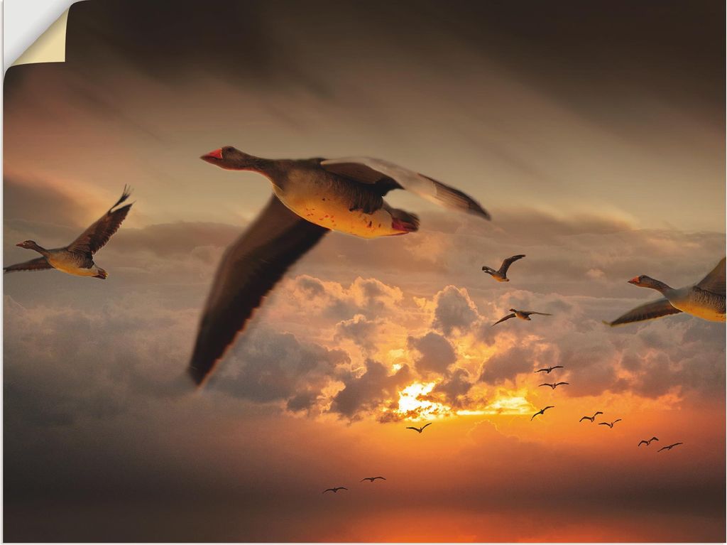 ARTland Wandbild, selbstklebend Der Flug der Wildgänse... Größe: 120x90 cm