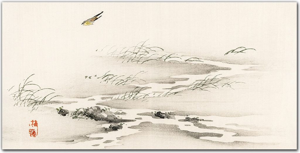 Coloray - Bild aus Glas - Glasbilder - 100 x 50 cm - Wanddekoration Küche Glasblock mit Bild Dekoration Wohnzimmer Gehärtetes Glas - Vogel Fluss