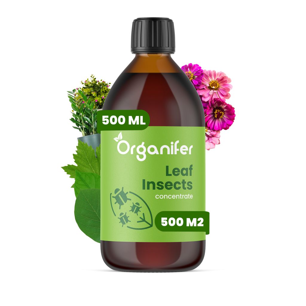 Koncentrat na Owady Liściowe – 500 ml na 500 m2  - Zdjęcie produktu 