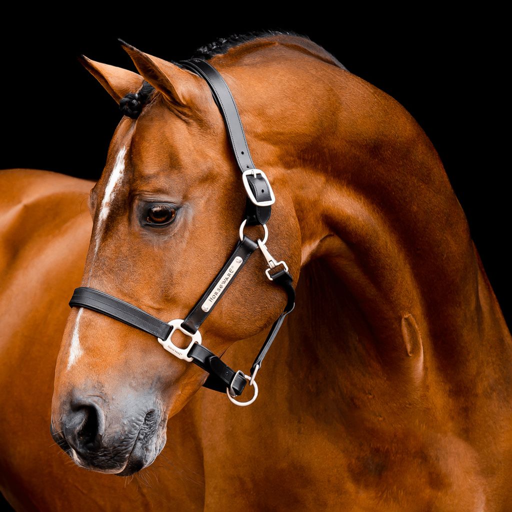 Horseware Signature Lederhalfter