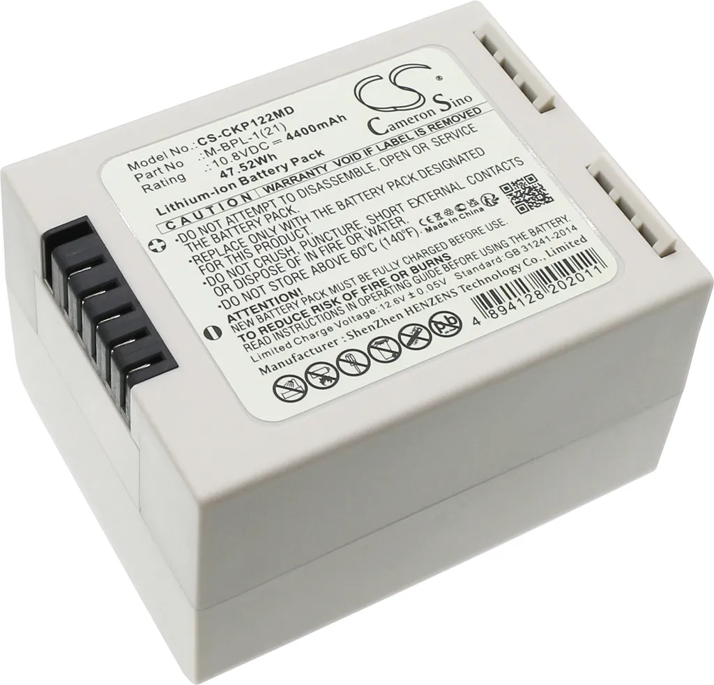 Batterie Rechargeable pour Moniteur de Patient Fukuda Dynascope DSL 12V