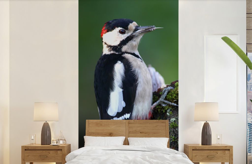 MuchoWow Fototapete für Wohnzimmer oder Schlafzimmer Wandtapete Vinyl Motivtapete Ein Buntspecht mit klaren Farben - 120x240 cm - Hintergrundbild