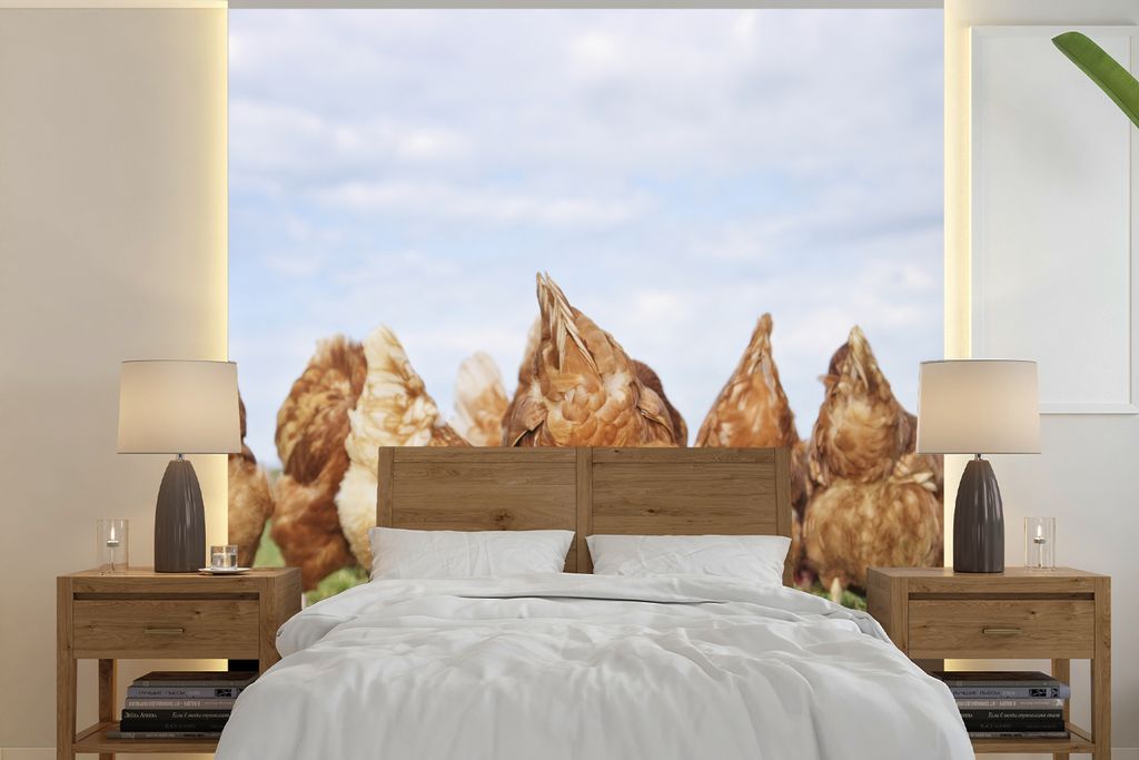 MuchoWow Fototapete für Wohnzimmer oder Schlafzimmer Wandtapete Vinyl Motivtapete Hühner auf dem Feld - 260x260 cm - Papiertapeten