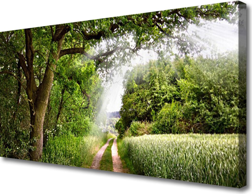 Tulup Leinwand-Bilder 100x50 Wandbild Canvas Kunstdruck Bäume Fußpfad Natur