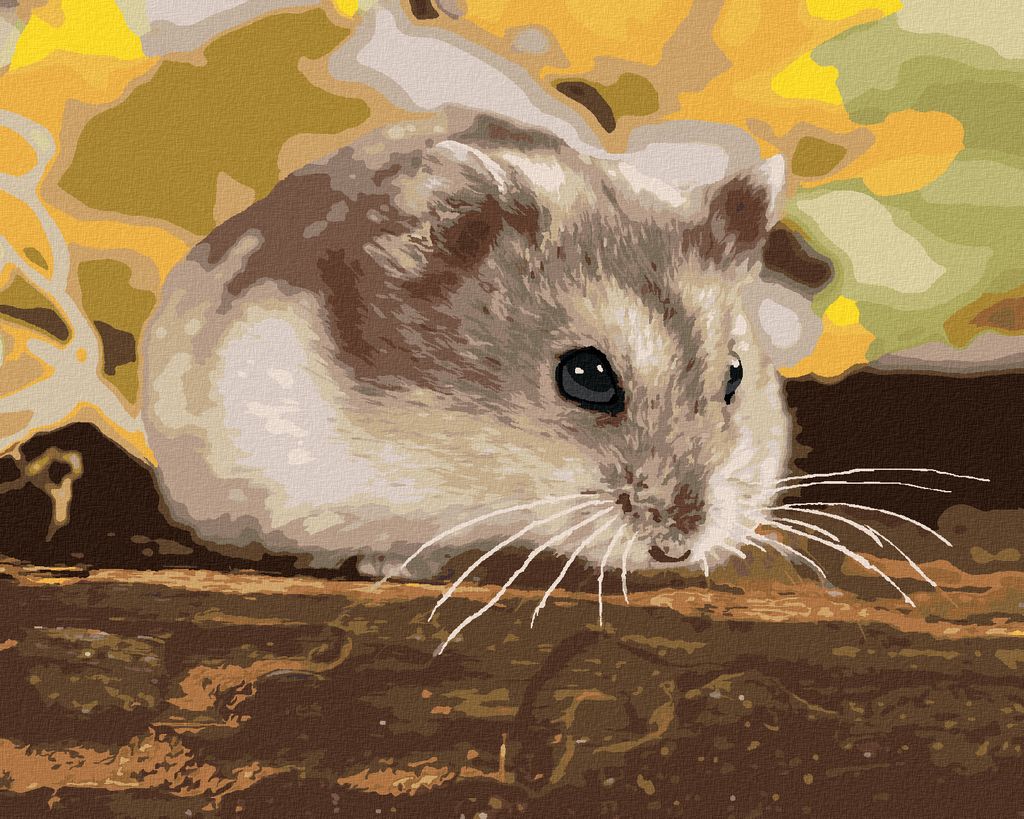 Zuty - Malen nach Zahlen - KLEINER HAMSTER, 40x50 cm, ohne Keilrahmen