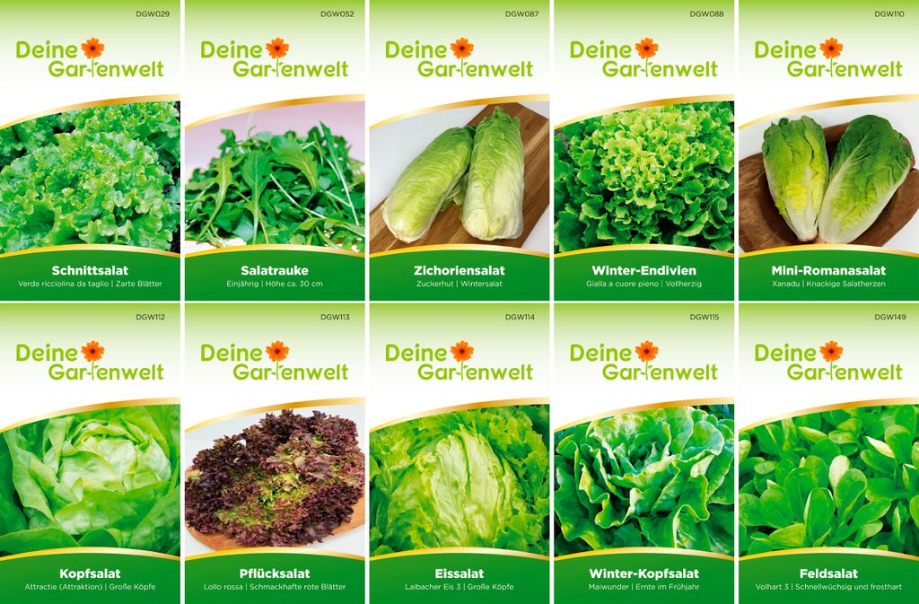Salatsamen Set - 10 Sorten Samen - Saatgut Sortiment - Produktbild 6