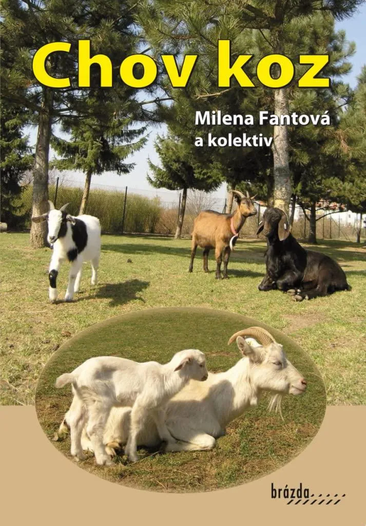 Chov koz - Milena Fantová : Méthodes de soins pour un élevage caprin sain
