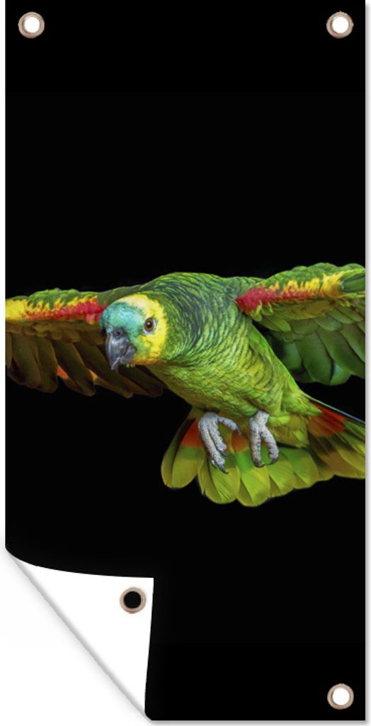 MuchoWow 80x160 cm Outdoor-Poster Gartendeko Sichtschutz Garten Poster für den Garten Papagei - Vogel - Federn
