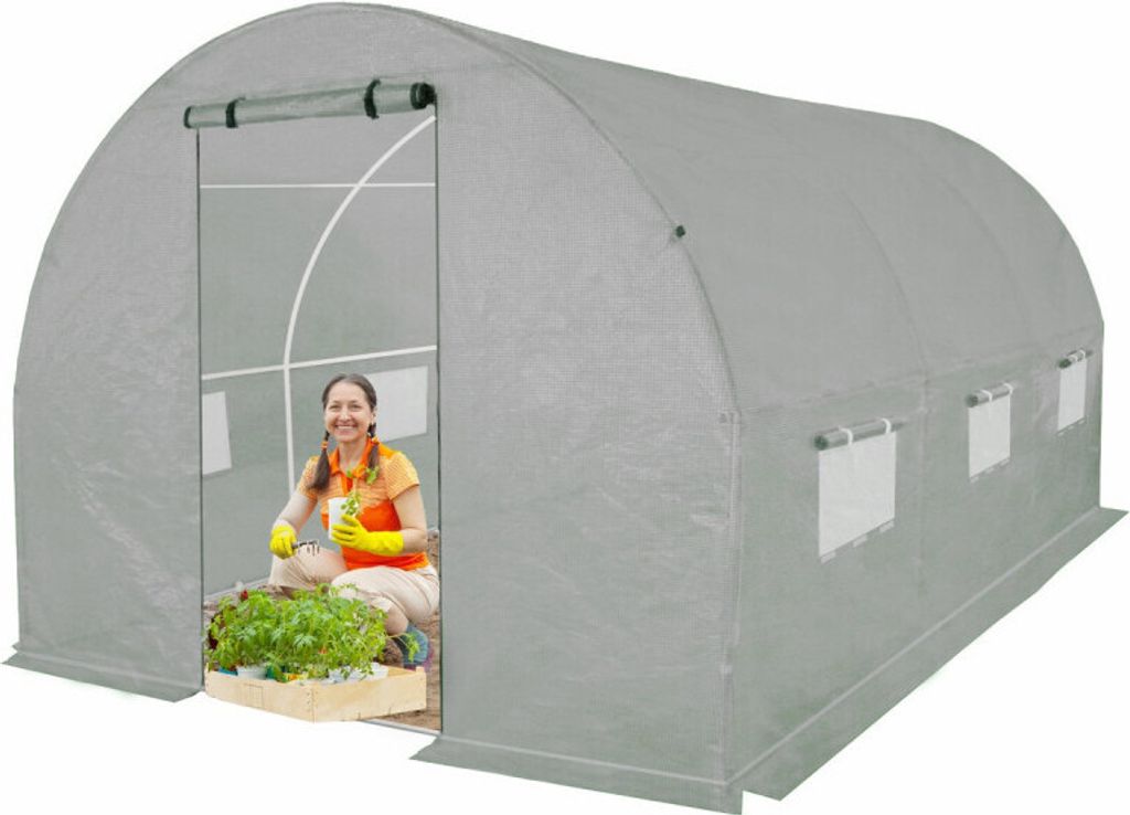 4iQ Gewächshaus Folientunnel 2,5x4m Grau